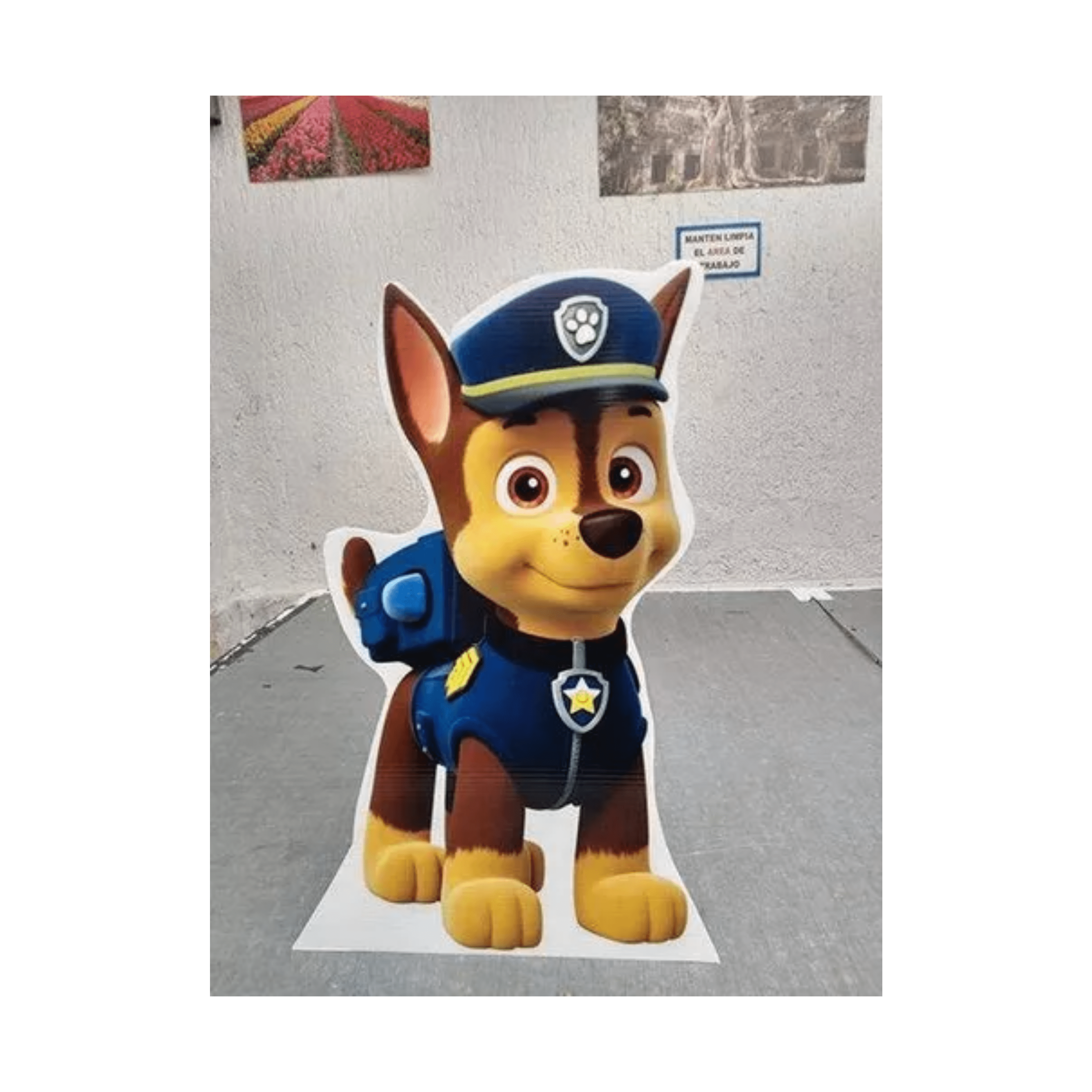 Figura coroplast 120 x120